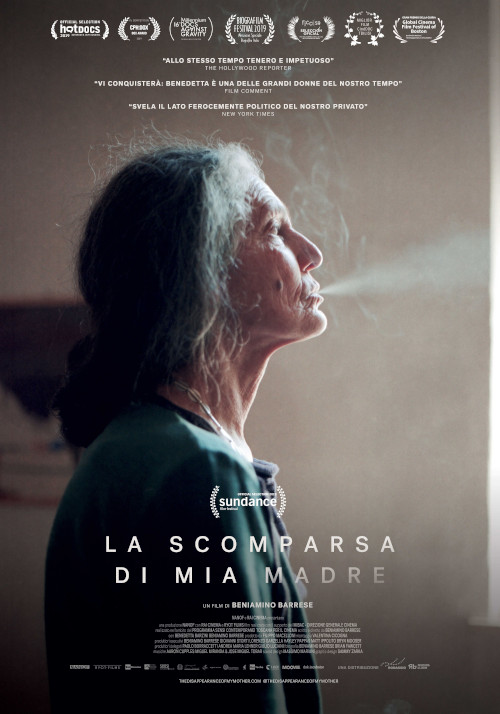 Poster del film La scomparsa di mia madre