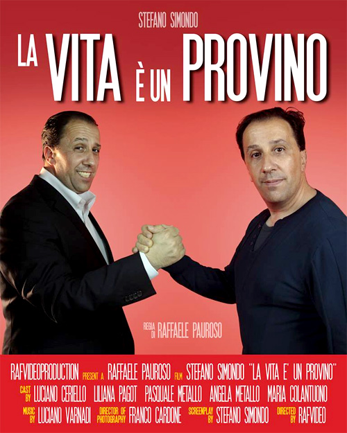 Poster del film La Vita  un Provino