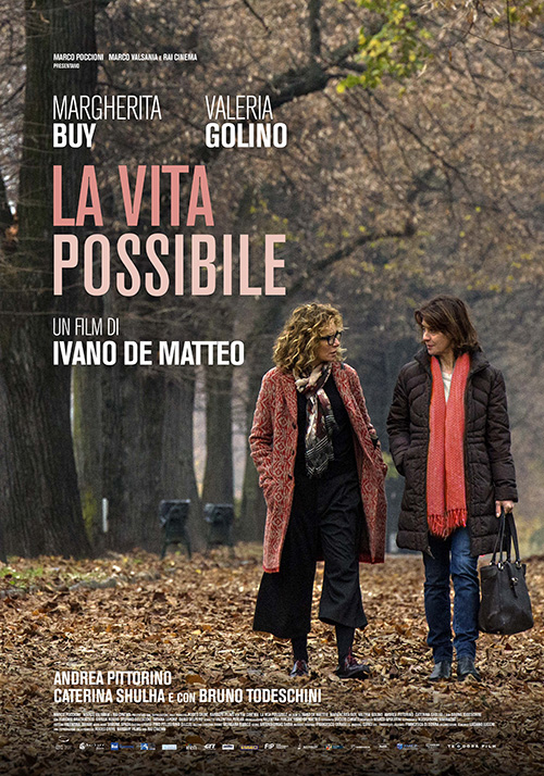 Poster del film La vita possibile