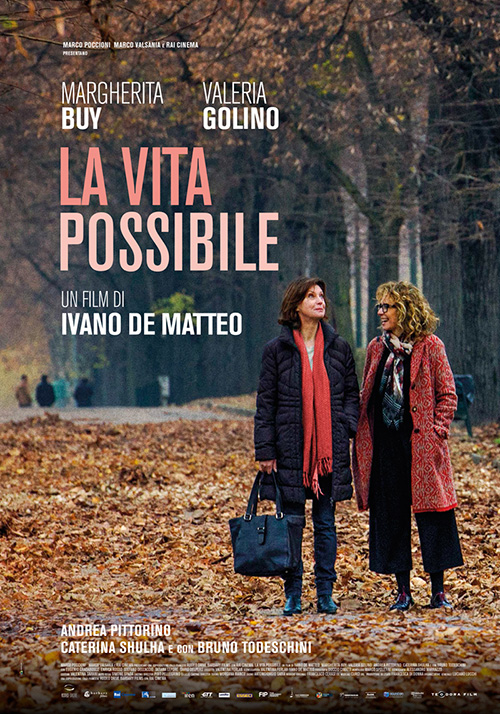 Poster del film La vita possibile