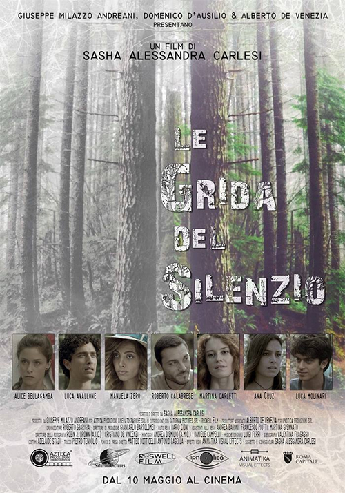 Poster del film Le grida del silenzio