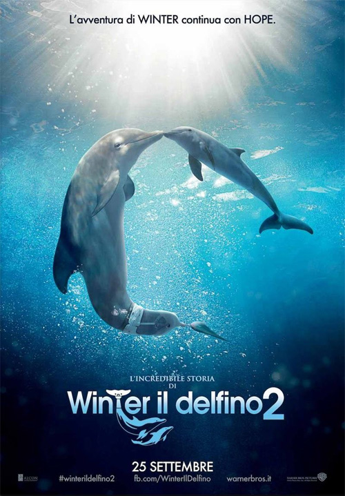 Poster del film L'incredibile storia di Winter il delfino 2