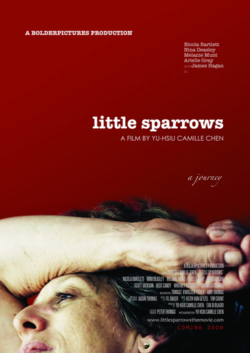 Poster del film Little Sparrows