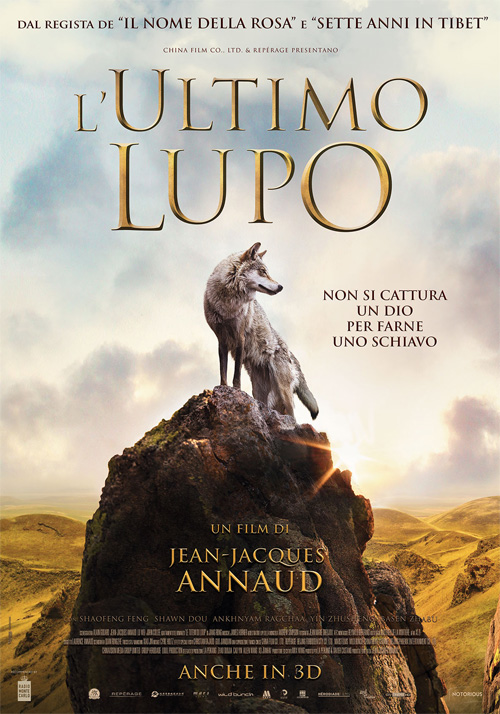 Poster del film L'ultimo lupo