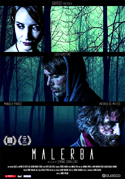 Poster del film Malerba