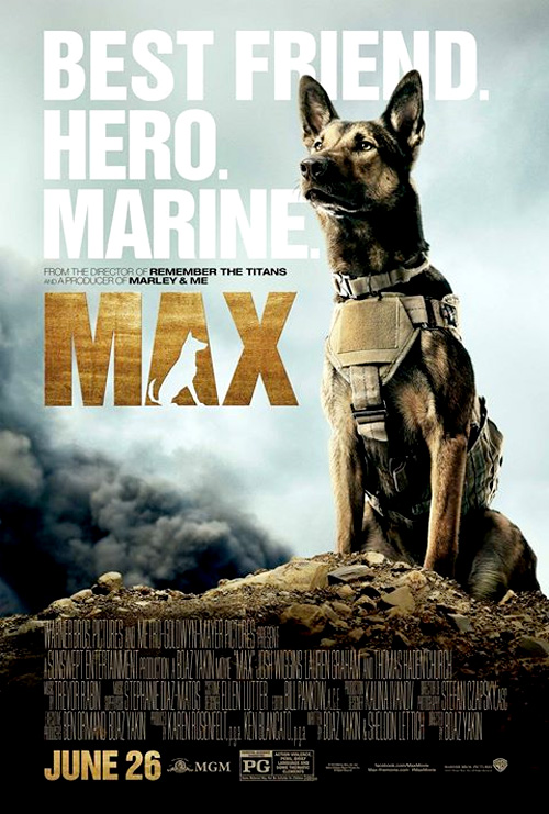 Poster del film Max