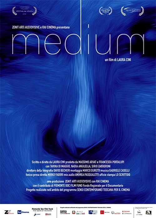 Poster del film Medium