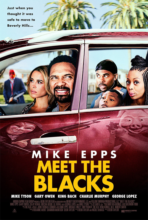 Poster del film Meet the Blacks