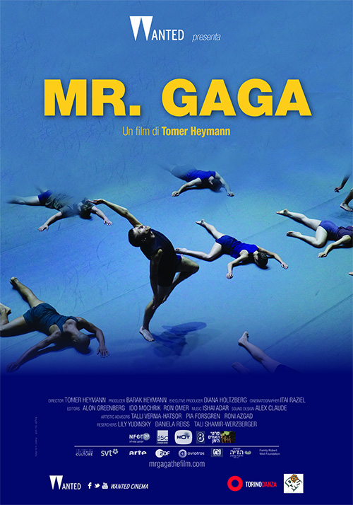 Poster del film Mr. Gaga