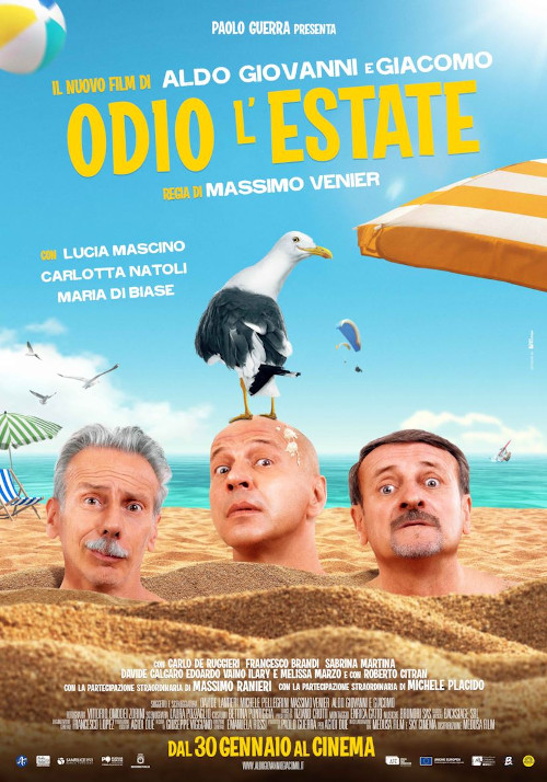 Poster del film Odio l'estate