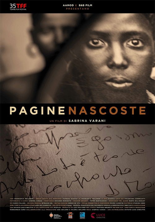 Poster del film Pagine nascoste