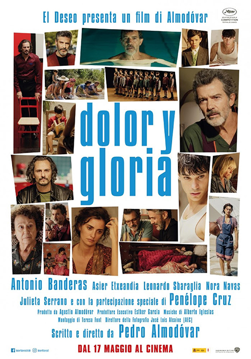 Poster del film Dolor y Gloria