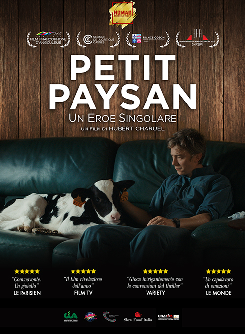 Poster del film Petit Paysan - Un eroe singolare