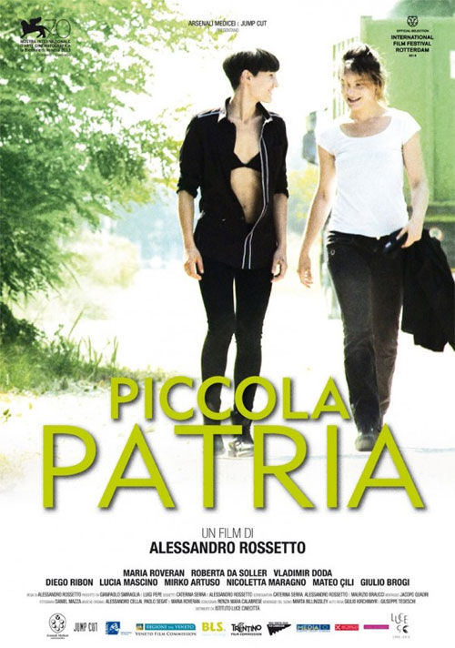 Poster del film Piccola patria