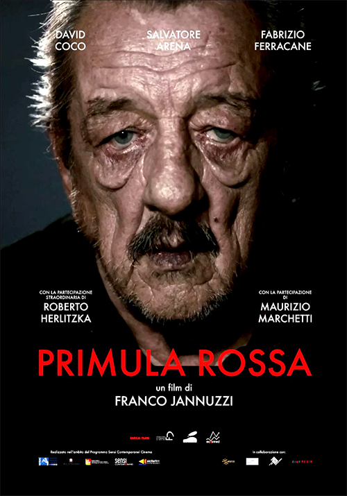 Poster del film Primula Rossa