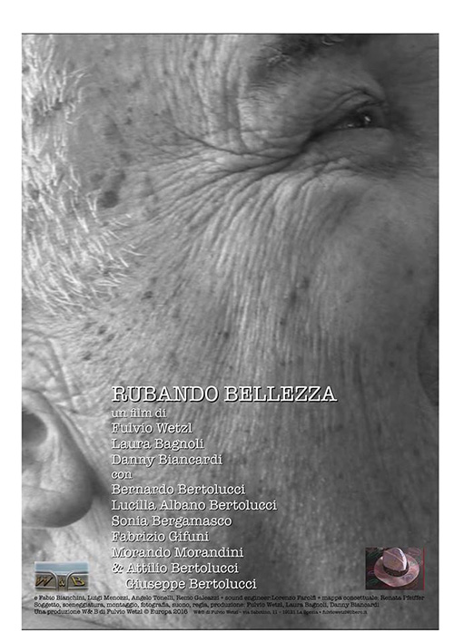 Poster del film Rubando Bellezza