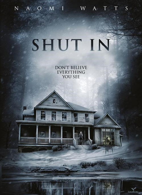 Poster del film Shut In