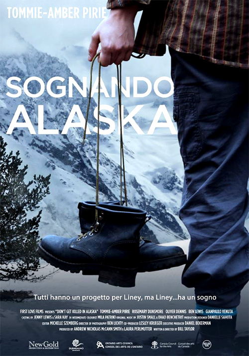 Poster del film Sognando Alaska