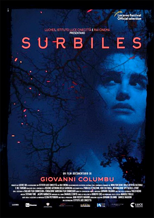 Poster del film Surbiles