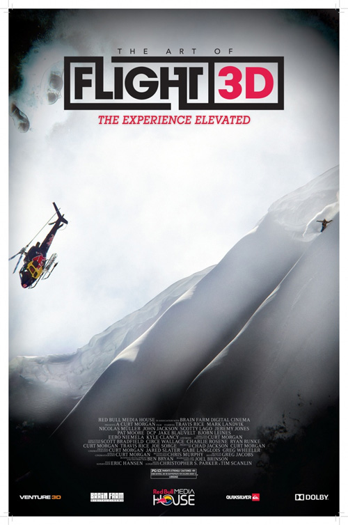 Poster del film The art of flight 3D