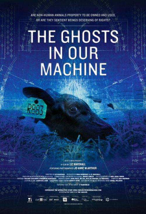 Poster del film The Ghosts in Our Machine