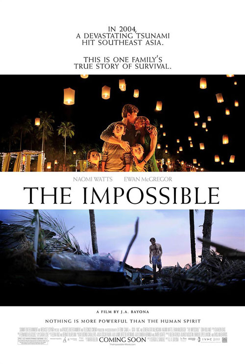 Poster del film The Impossible