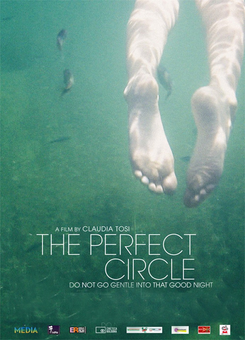 Poster del film The Perfect Circle