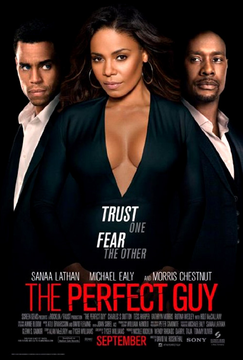 Poster del film The Perfect Guy