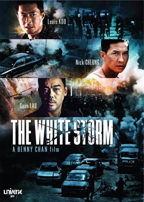 Poster del film The White Storm