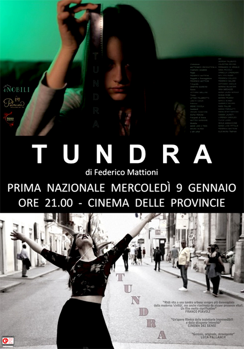 Poster del film Tundra