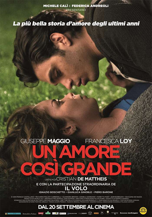 Poster del film Un amore cos grande