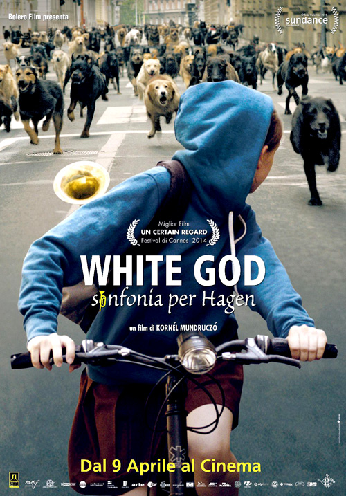 Poster del film White God - Sinfonia per Hagen