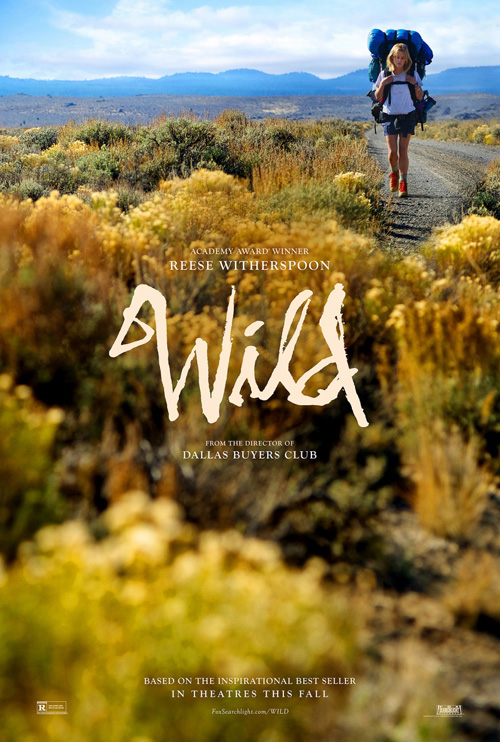 Poster del film Wild